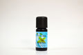 Mentha Essential Oil, 10ml