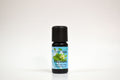 Oregano Essential OIl, 10ml