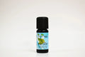 Botella de aceite esencial de hoja de laurel sobre fondo blanco