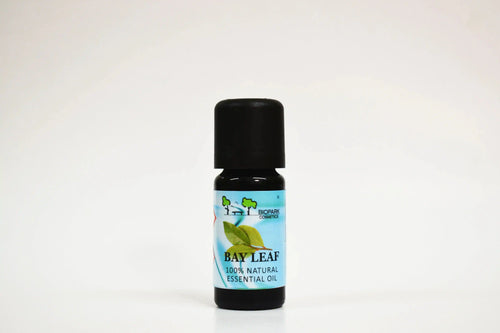 Botella de aceite esencial de hoja de laurel sobre fondo blanco