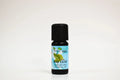 Bay leaf essential oil bottle on a white background