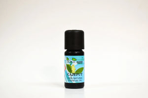 Botella de aceite esencial Cajeput sobre fondo blanco