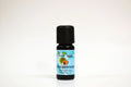 Bottle of Cedarwood essential oil on a white background