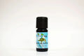Bottle of eucalyptus essential oil on a white background