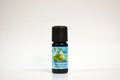 Bottle of oregano essential oil on a white background