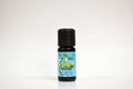 Bottle of thyme essential oil on a white background
