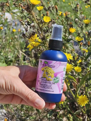 A hand holding a blue spray bottle of BioPark Organic Helichrysum (Wrapped) Hydrosol against a background of yellow wildflowers.