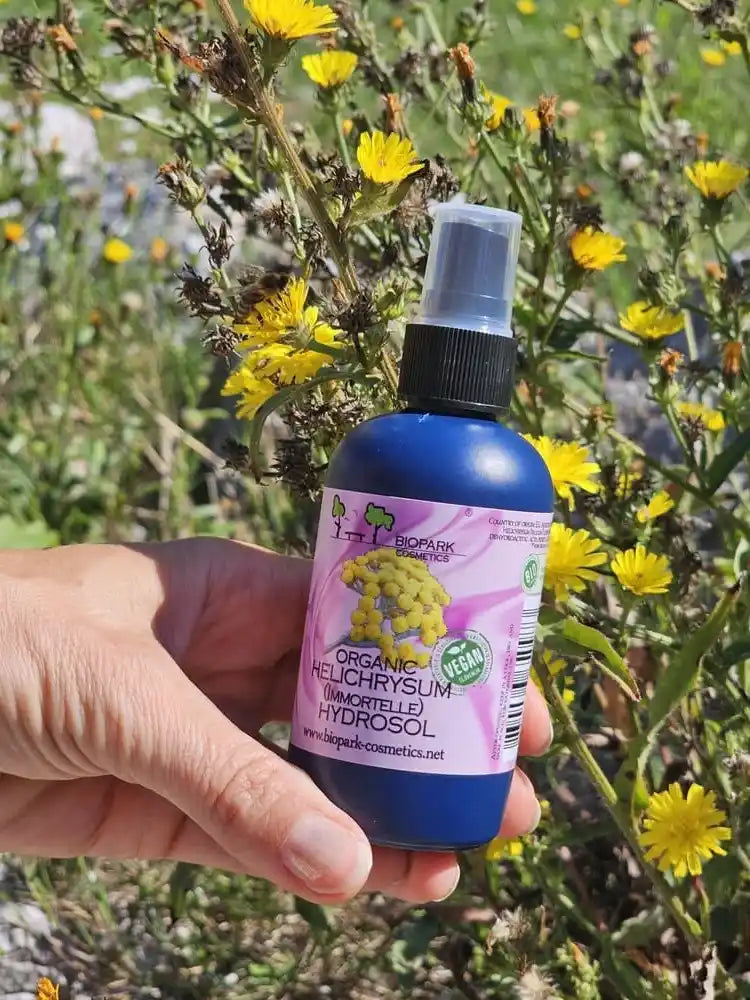 A hand holding a blue spray bottle of BioPark Organic Helichrysum (Wrapped) Hydrosol against a background of yellow wildflowers.