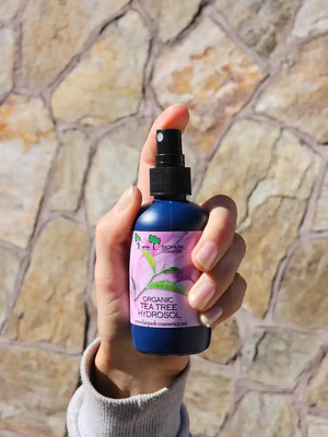 A bottle of organic tea tree hydrosol in hand