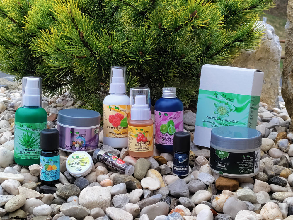 Collection of natural skincare products on pebbles with a green plant in the background