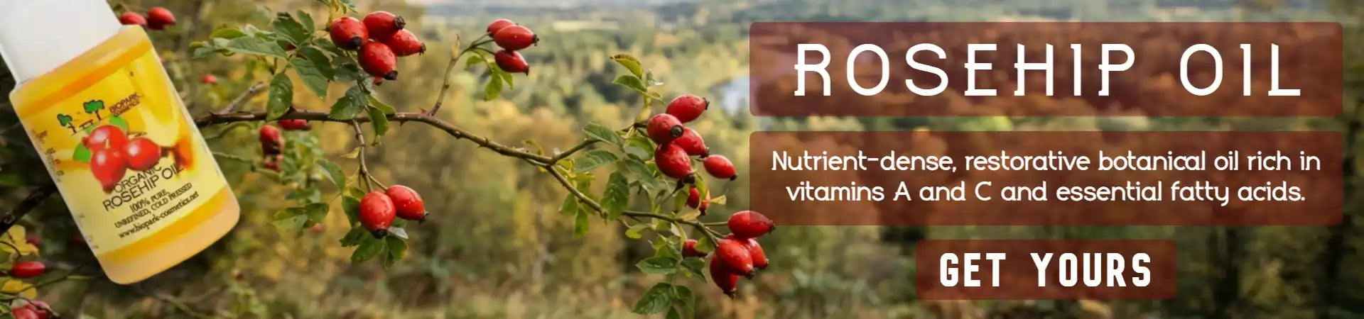 Promotional banner for rosehip oil featuring a bottle of oil on the left, a close-up of rosehip branches with red berries in the center, and text reading 'ROSEHIP OIL' and 'GET YOURS' on a warm blurred background.